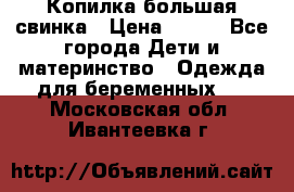 Копилка большая свинка › Цена ­ 300 - Все города Дети и материнство » Одежда для беременных   . Московская обл.,Ивантеевка г.